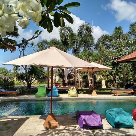 Premier Surf Camp Hotel Canggu Buitenkant foto